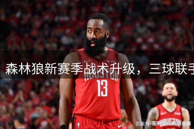 森林狼新赛季战术升级，三球联手戈贝尔或将重塑挡拆威力