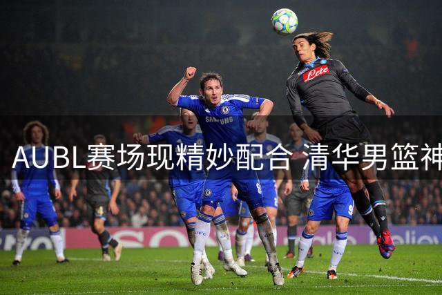 AUBL赛场现精妙配合 清华男篮神传连线扩大优势